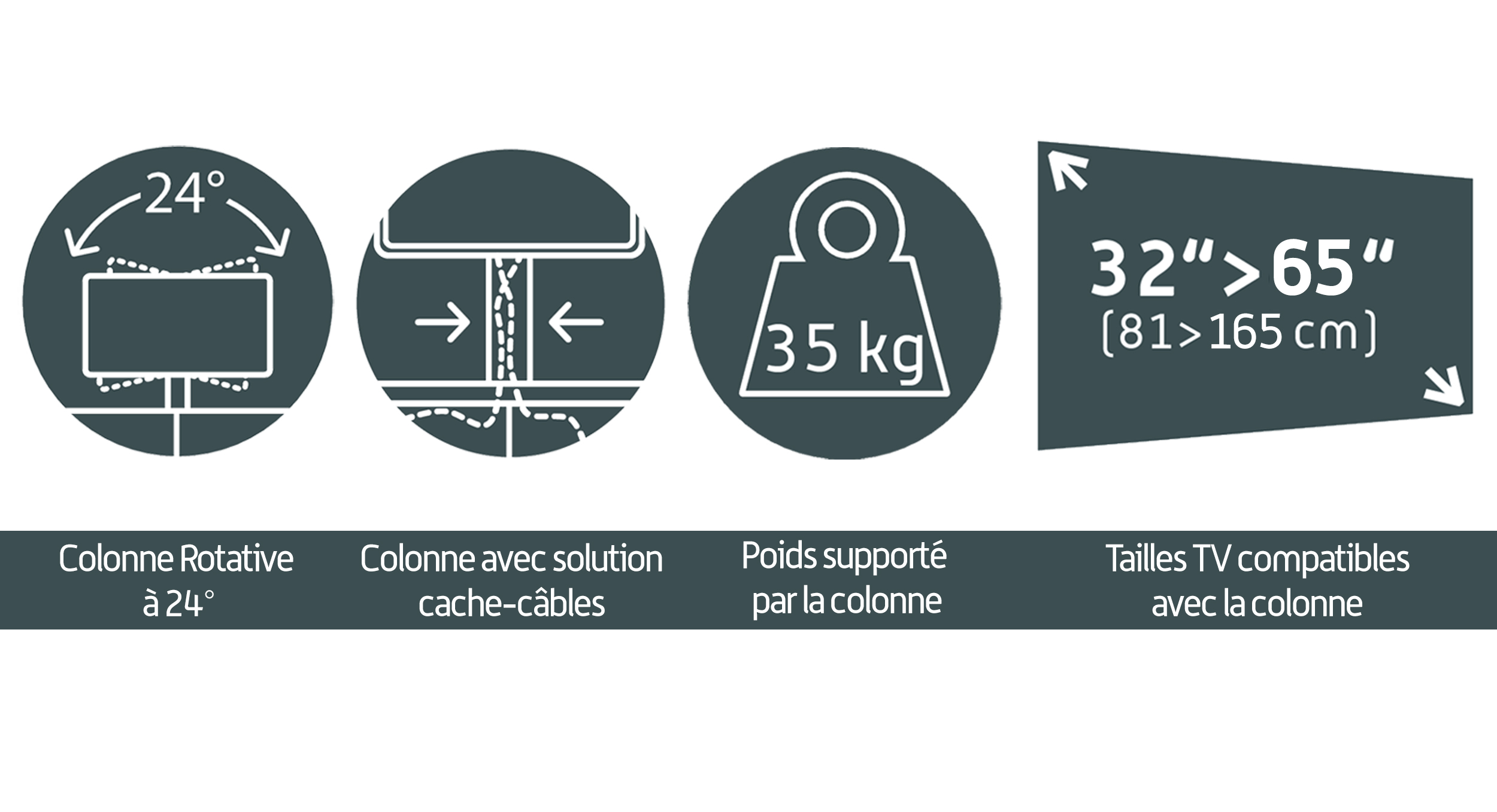 PictoMTS 32 a 65 pouces