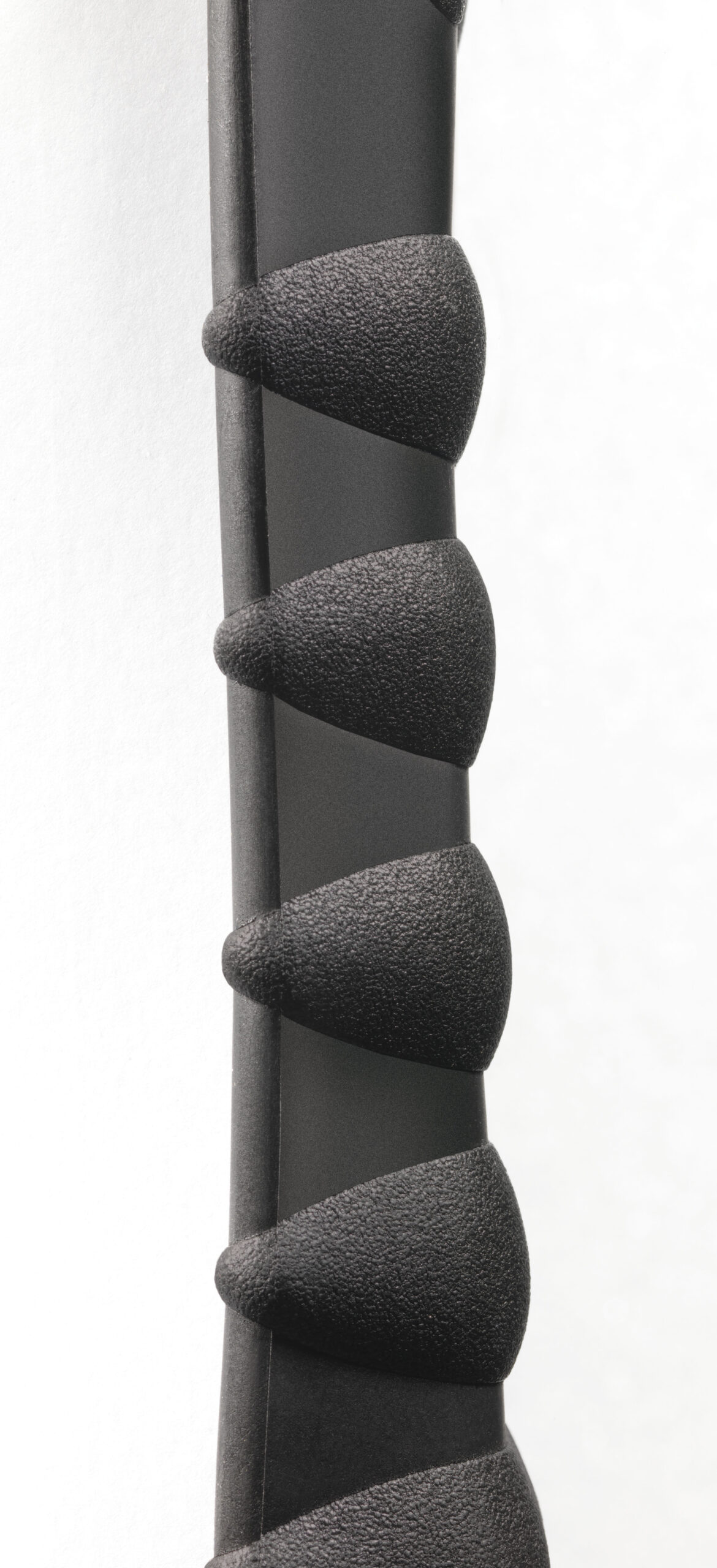 dettaglio guscio 001